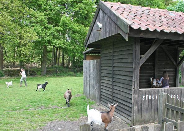 Land Gut Hotel Ritter Stadtlohn Dış mekan fotoğraf